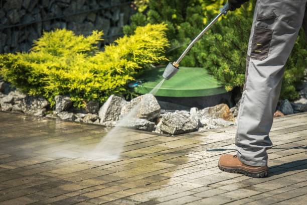 Best House Exterior Washing  in Federal Y, WA