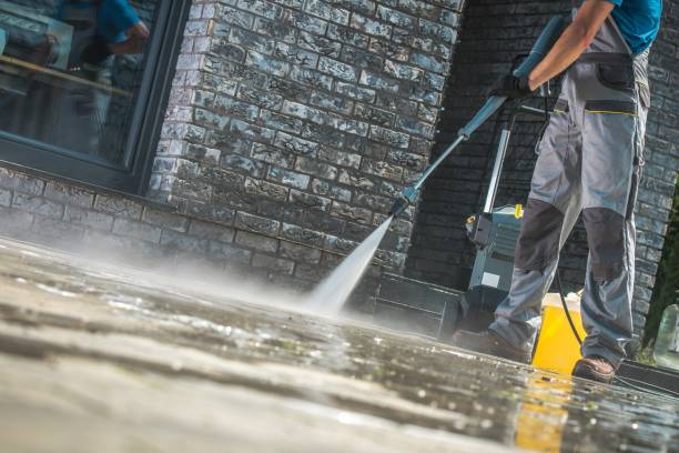 Best Driveway Pressure Washing  in Federal Y, WA