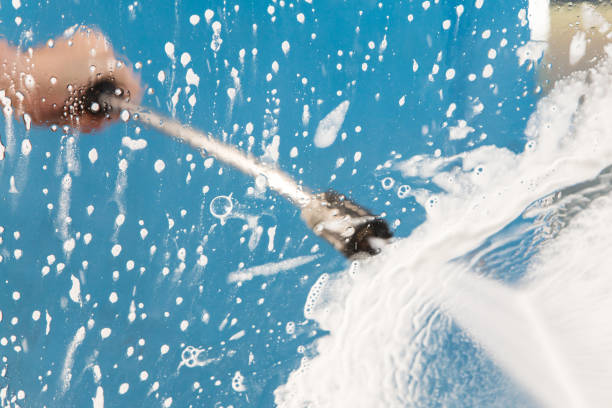Best Animal Enclosure Cleaning  in Federal Y, WA