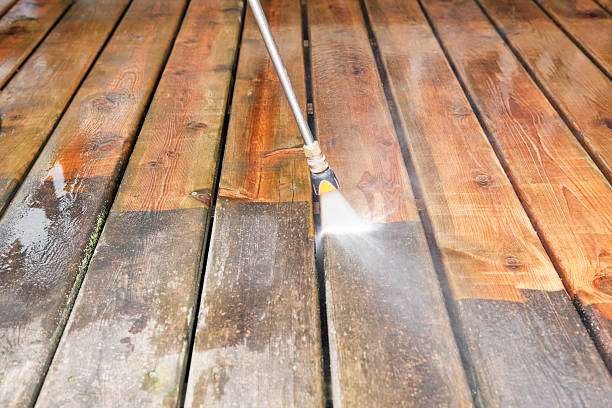 Best Boat and Dock Cleaning  in Federal Y, WA